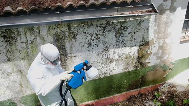 Top rated local Mold Removal specialists in Salem, NJ